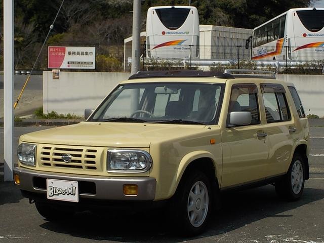 Nissan RASHEEN 1995 — фото автомобиля