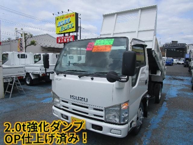 Isuzu ELF TRUCK 2013 — фото автомобиля