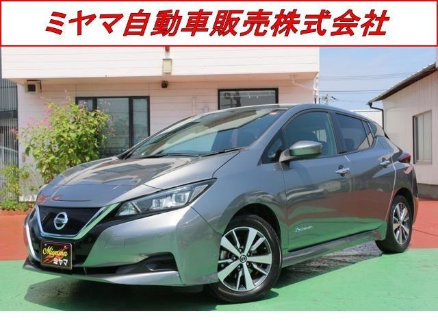 Nissan LEAF 2019 — фото автомобиля 1