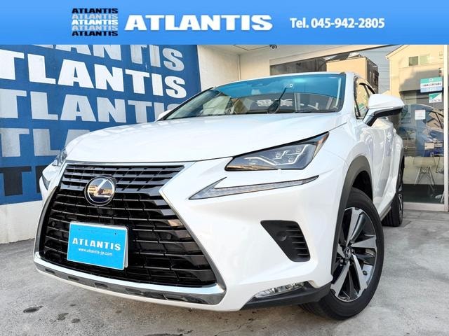 Lexus NX 2018 — фото автомобиля 1