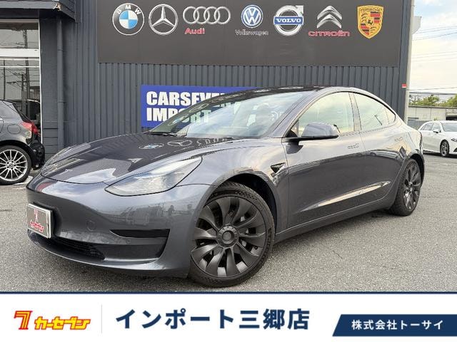 Tesla MODEL 3 2022 — фото автомобиля 1