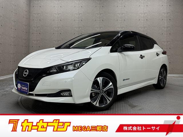 Nissan LEAF 2022 — фото автомобиля 1