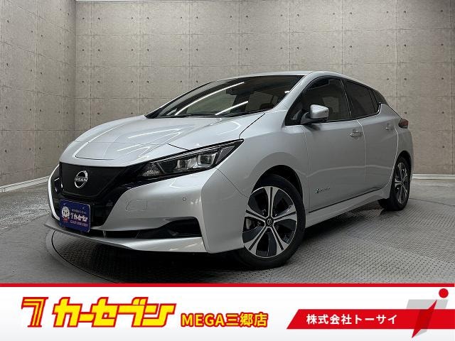 Nissan LEAF 2022 — фото автомобиля 1