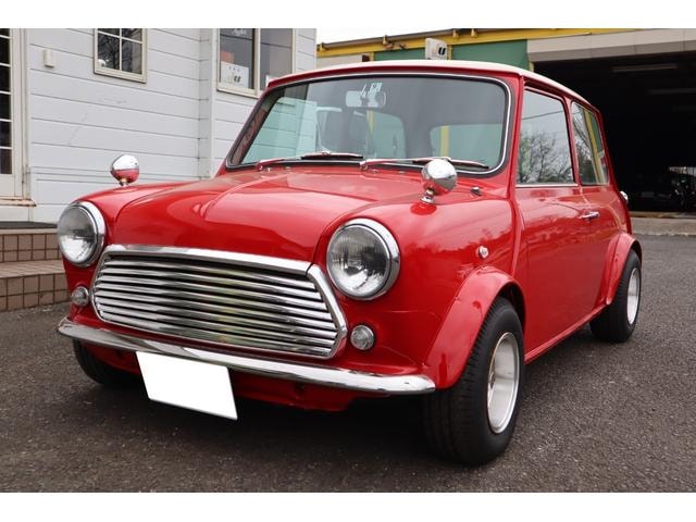 Rover MINI 1993 — фото автомобиля