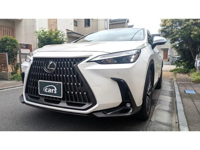 Lexus NX 2024 — фото автомобиля 1