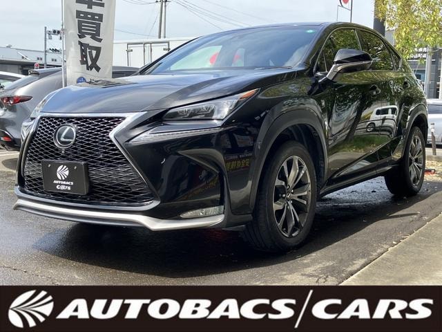 Lexus NX 2014 — фото автомобиля 1