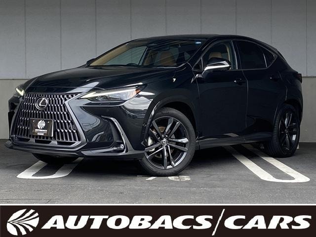 Lexus NX 2024 — фото автомобиля