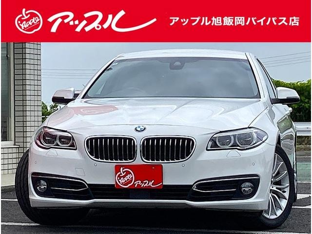 Bmw 5 SERIES 2014 — фото автомобиля 1
