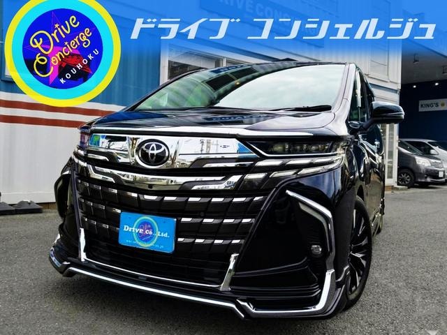 Toyota ALPHARD HYBRID 2024 — фото автомобиля