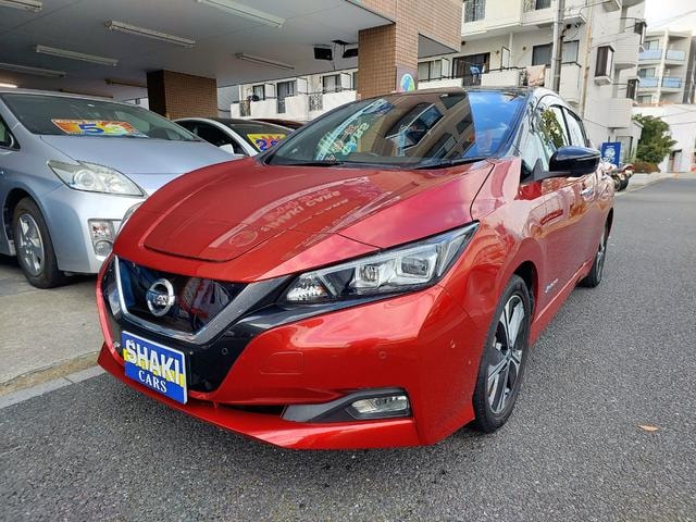 Nissan LEAF 2019 — фото автомобиля 1