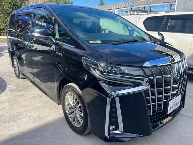 Toyota ALPHARD HYBRID 2018 — фото автомобиля