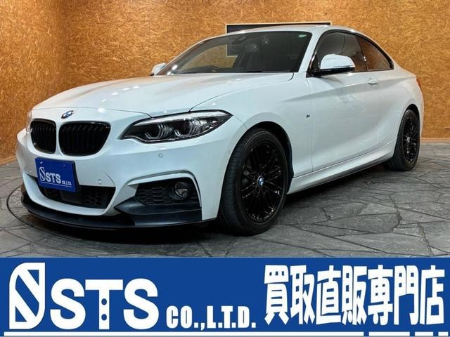 Bmw 2 SERIES 2019 — фото автомобиля