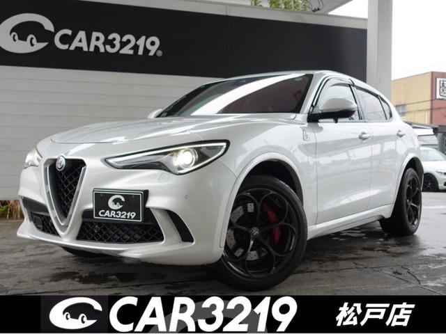 Alfa Romeo STELVIO 2019 — фото автомобиля 1