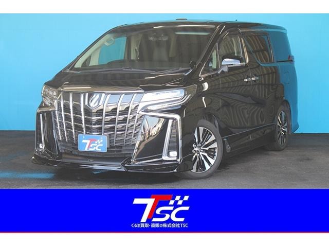 Toyota ALPHARD 2019 — фото автомобиля 1