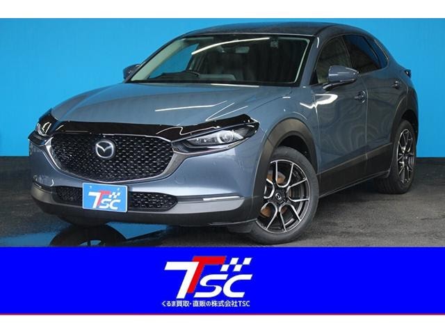 Mazda CX-30 2019 — фото автомобиля