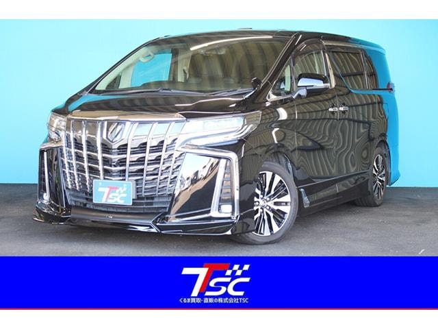Toyota ALPHARD 2019 — фото автомобиля