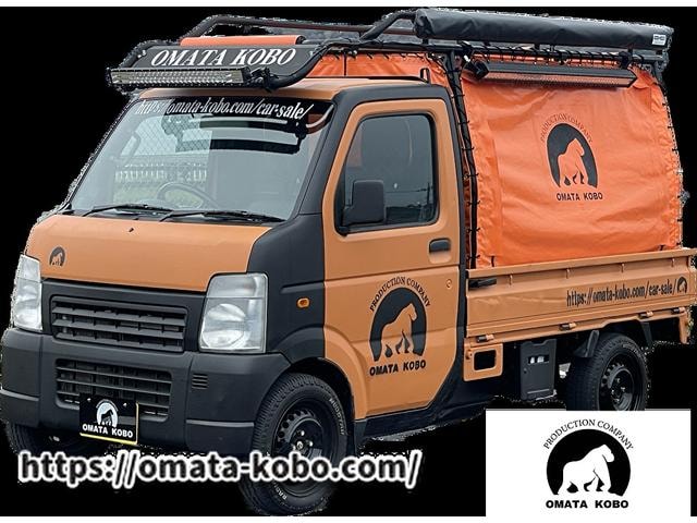 Suzuki CARRY TRUCK 2009 — фото автомобиля