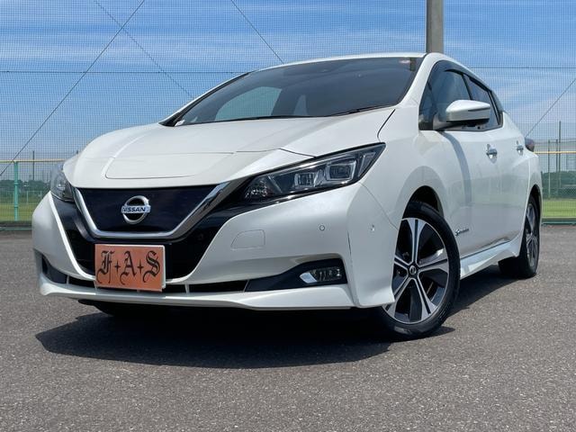 Nissan LEAF 2019 — фото автомобиля 1