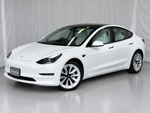 Tesla MODEL 3 2021 — фото автомобиля 1