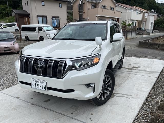 Toyota LAND CRUISER PRADO 2022 — фото автомобиля