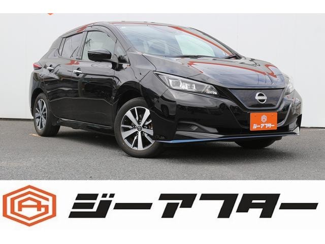 Nissan LEAF 2021 — фото автомобиля 1