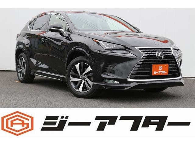 Lexus NX 2021 — фото автомобиля 1