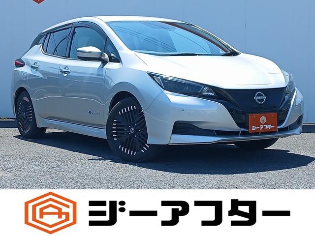 Nissan LEAF 2022 — фото автомобиля 1