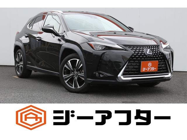 Lexus UX 2019 — фото автомобиля