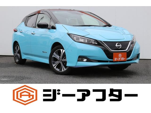Nissan LEAF 2019 — фото автомобиля 1