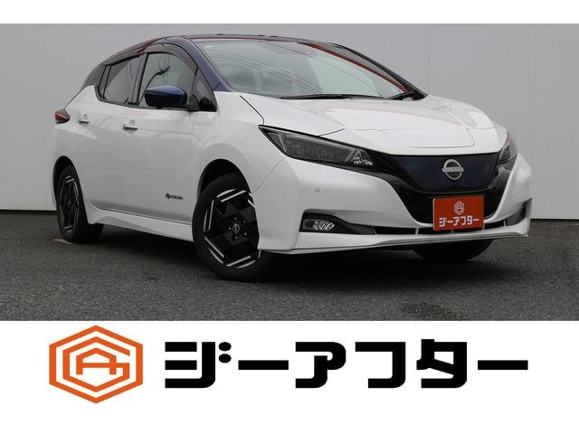 Nissan LEAF 2022 — фото автомобиля 1