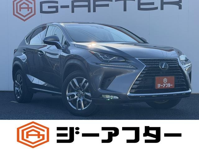Lexus NX 2018 — фото автомобиля 1
