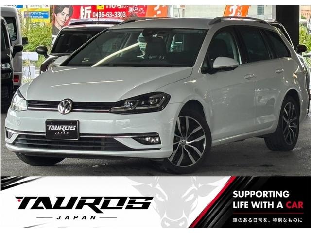 Volkswagen GOLF VARIANT 2019 — фото автомобиля
