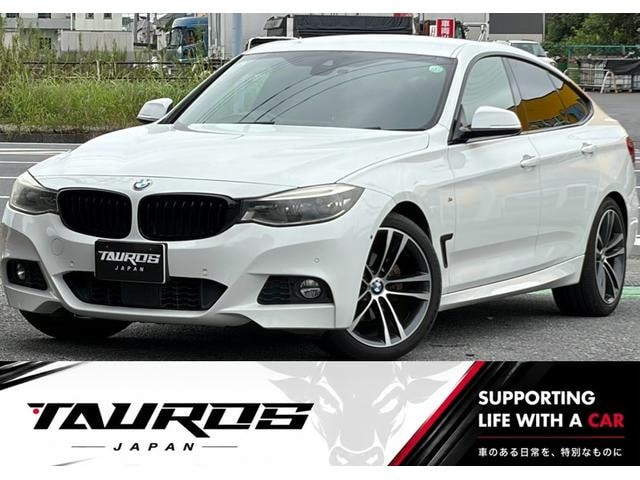 Bmw 3 SERIES 2017 — фото автомобиля