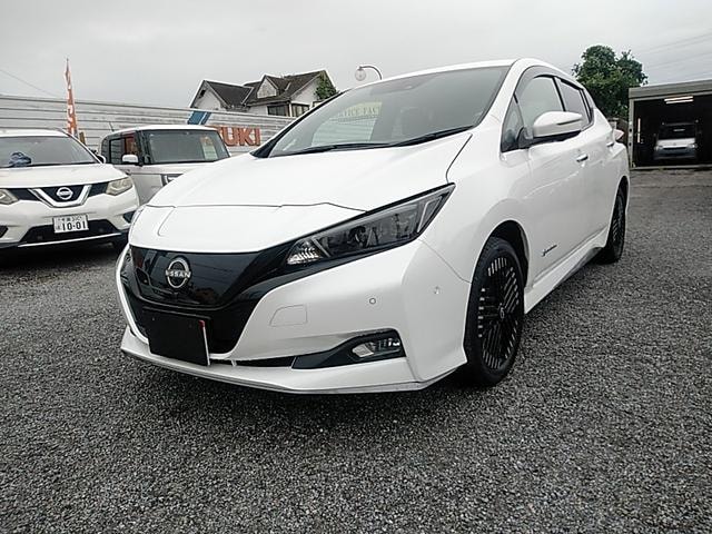 Nissan LEAF 2023 — фото автомобиля 1