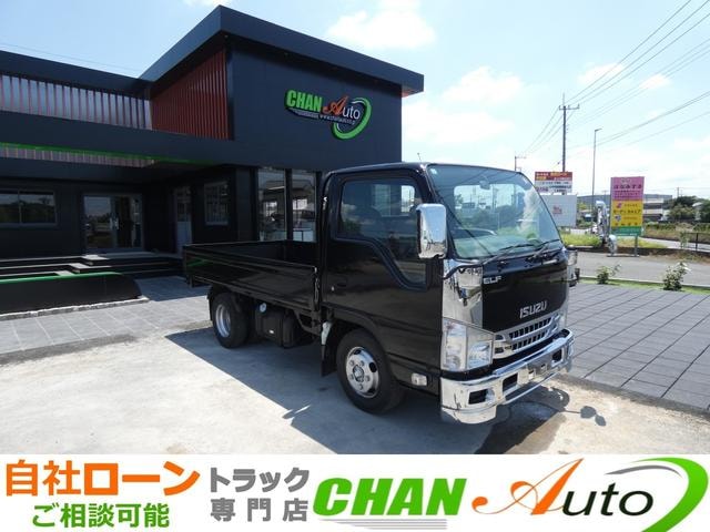Isuzu ELF TRUCK 2019 — фото автомобиля