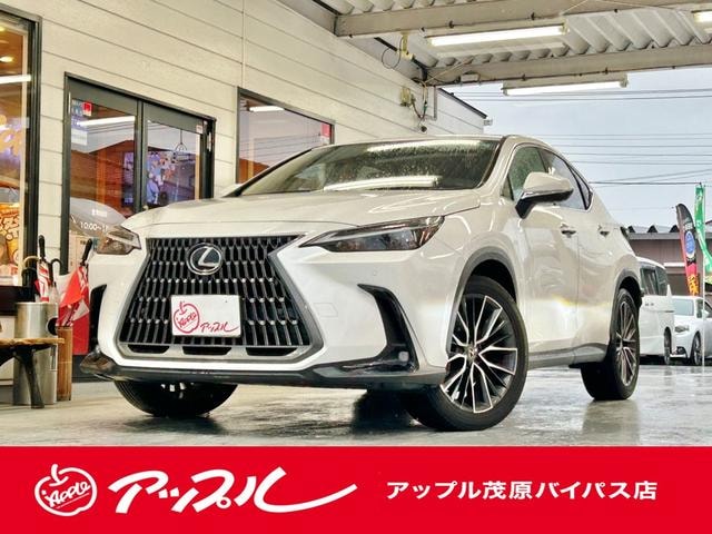 Lexus NX 2024 — фото автомобиля 1