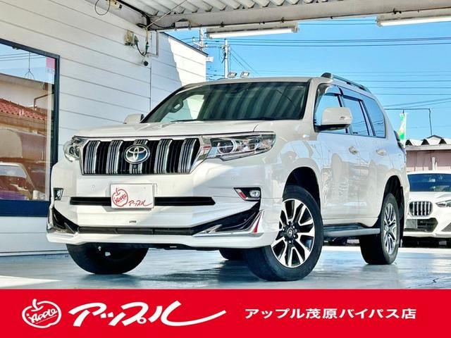 Toyota LAND CRUISER PRADO 2022 — фото автомобиля