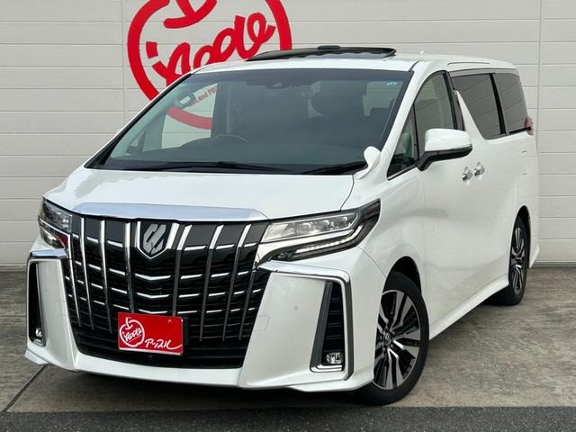 Toyota ALPHARD 2019 — фото автомобиля