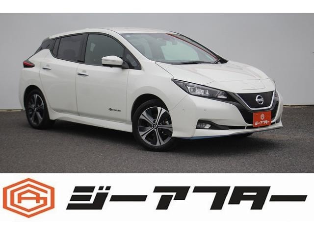 Nissan LEAF 2021 — фото автомобиля 1