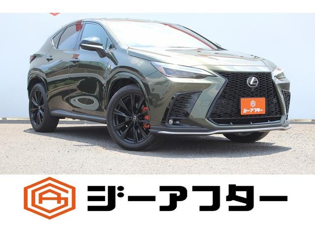 Lexus NX 2022 — фото автомобиля 1