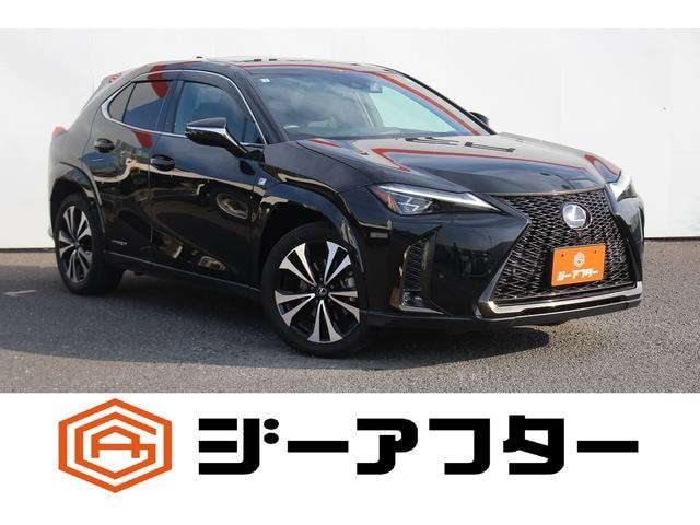 Lexus UX 2022 — фото автомобиля 1