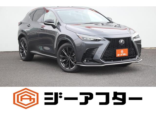 Lexus NX 2021 — фото автомобиля 1