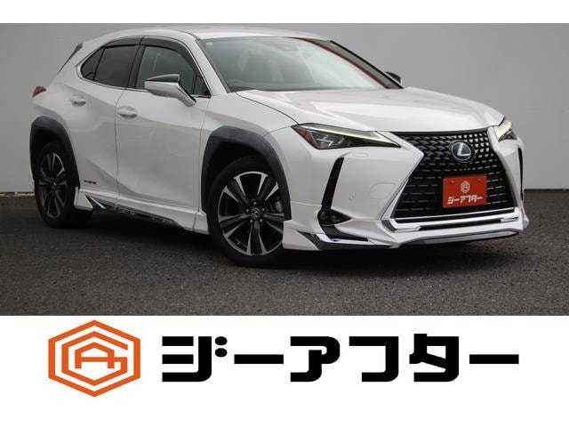 Lexus UX 2019 — фото автомобиля 1