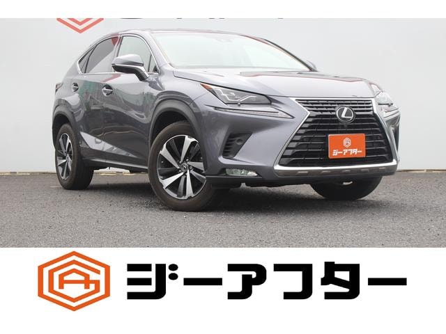 Lexus NX 2018 — фото автомобиля 1