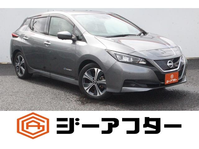 Nissan LEAF 2021 — фото автомобиля 1