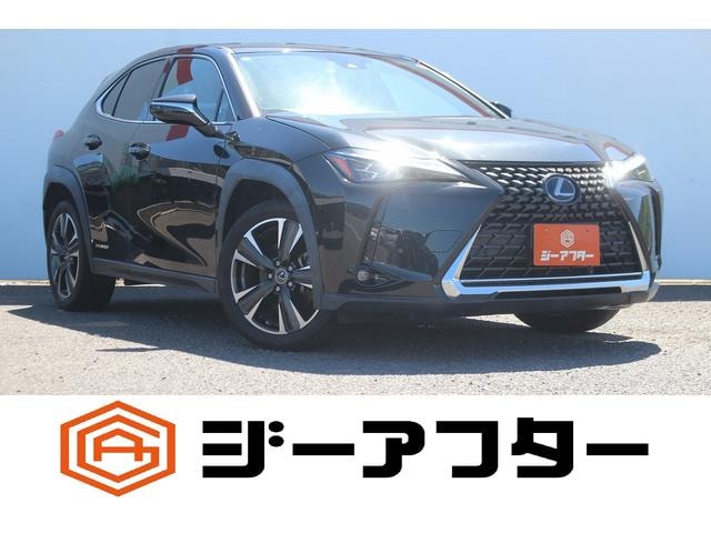 Lexus UX 2019 — фото автомобиля