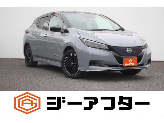 Nissan LEAF 2022 — фото автомобиля 1
