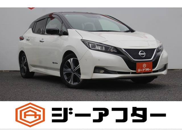 Nissan LEAF 2020 — фото автомобиля 1