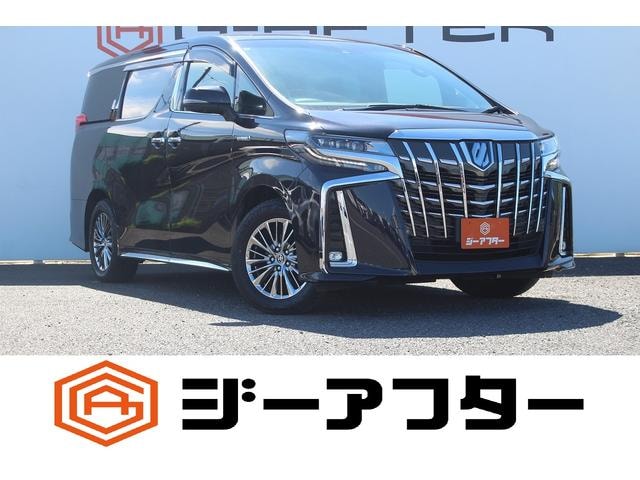 Toyota ALPHARD HYBRID 2019 — фото автомобиля
