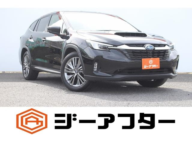 Subaru LEVORG LAYBACK 2024 — фото автомобиля